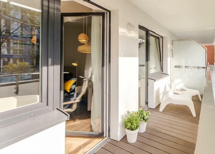 Surf Surfingbird * Kołobrzeg